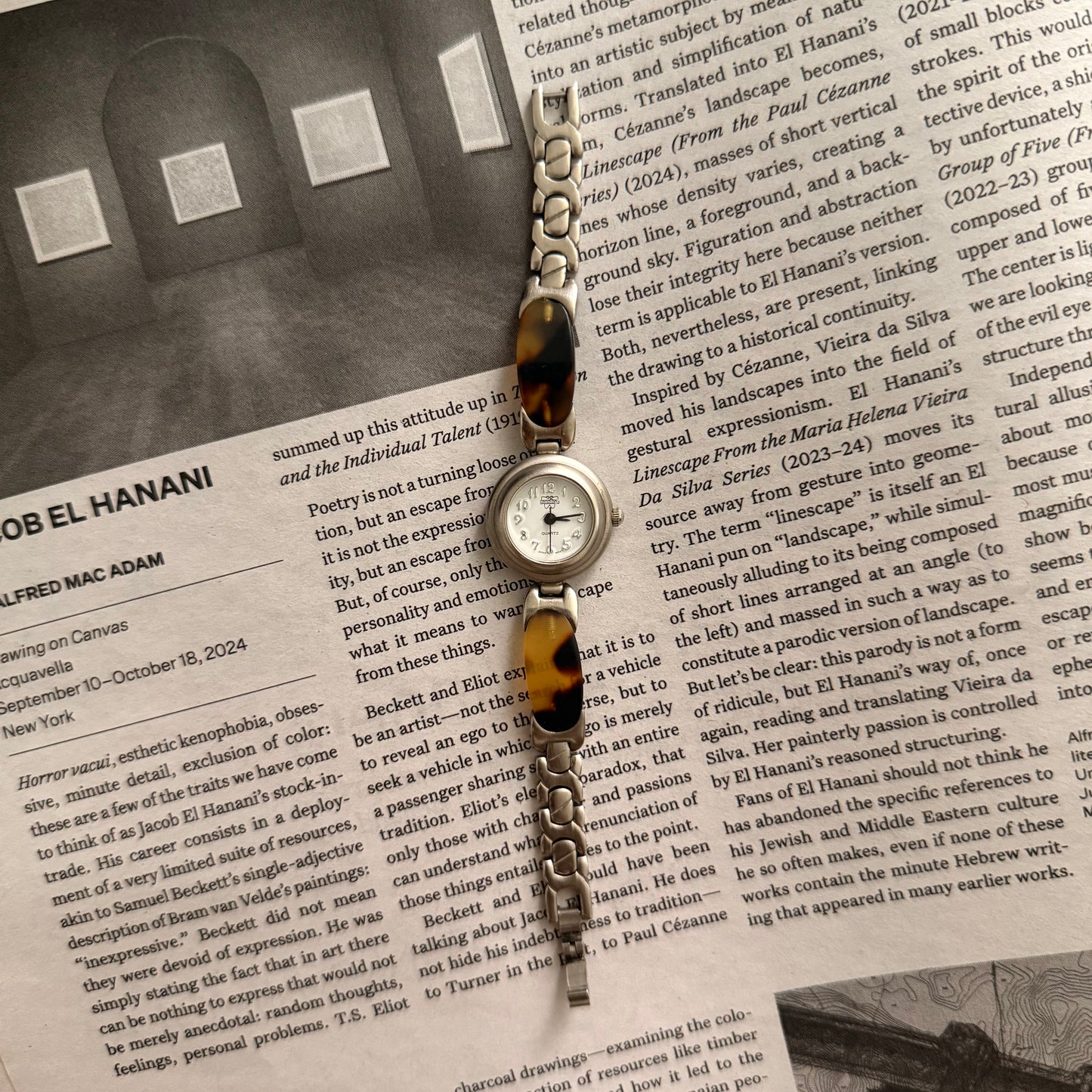 Silver circle tortoise band watch