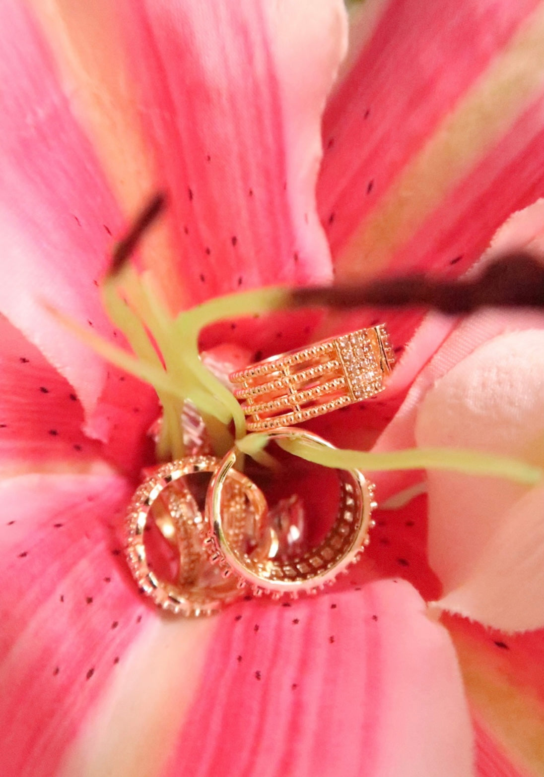 Halo 18K Ring